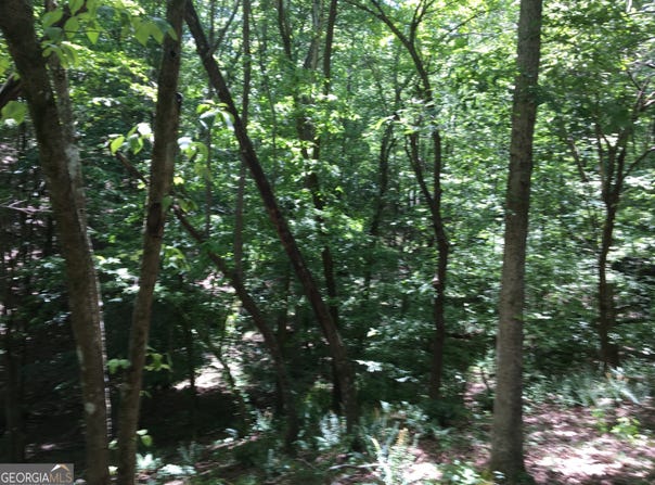 Damascus Road, Ball Ground, GA 30107