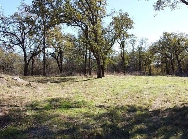 513 Palomino Court, Runaway Bay, TX 76426