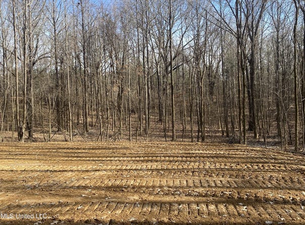 Brownsferry Rd, Sarah, MS 38665