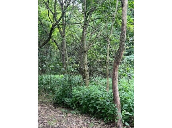 0 Ball Rd Road, Centerburg, OH 43011