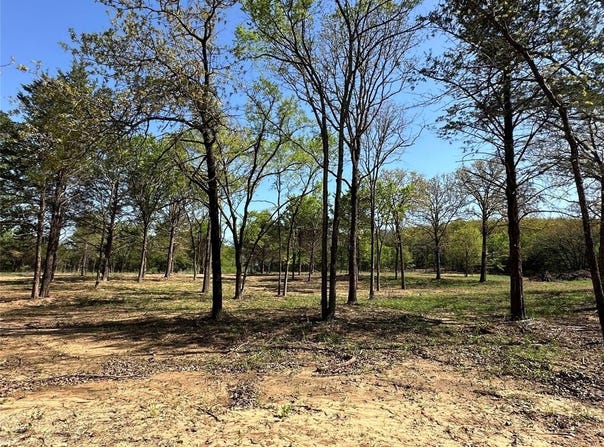 Tbd Lot 3 Cr-147, Gainesville, TX 76240