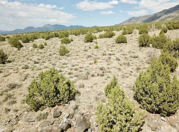 10 Acres, Montello, NV 89830