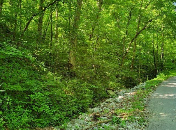 888 Hazel Patch Road, East Bernstadt, KY 40729