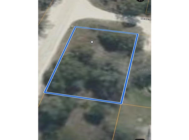 NE 119TH Terrace, WILLISTON, FL 32696