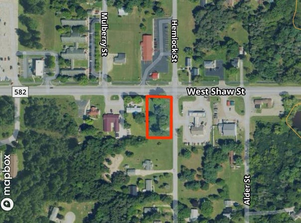 607 Shaw Street, Howard City, MI 49329