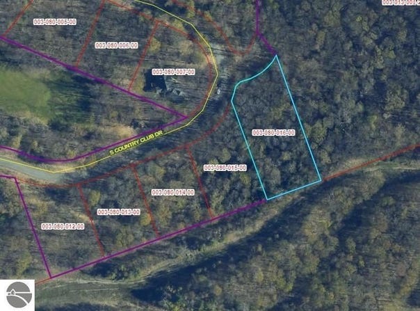 LOT 16 S CLUB DRIVE, CEDAR, MI 49621