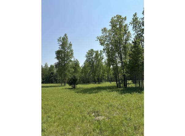 V/L 200th Avenue, Morley, MI 49336