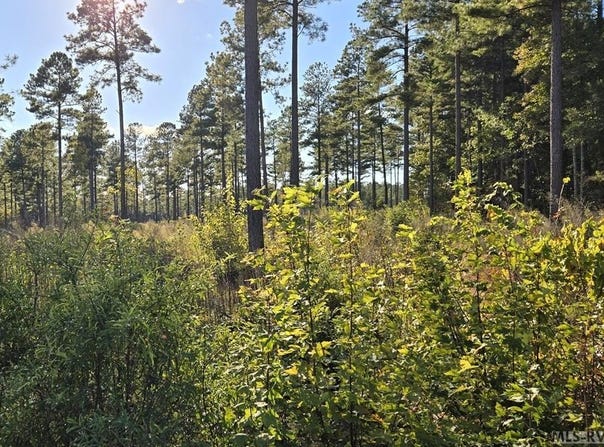 Christanna Hwy lot: 3, Lawrenceville, VA 23868