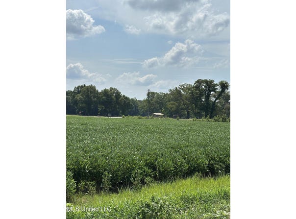 0000 Wheeler Road, Hernando, MS 38632