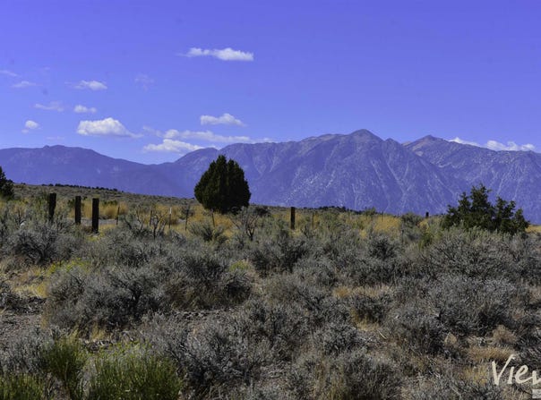 1167 Out-R-Way lot: 1, Gardnerville, NV 89410
