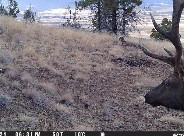 FS Rd 613, John Day, OR 97845