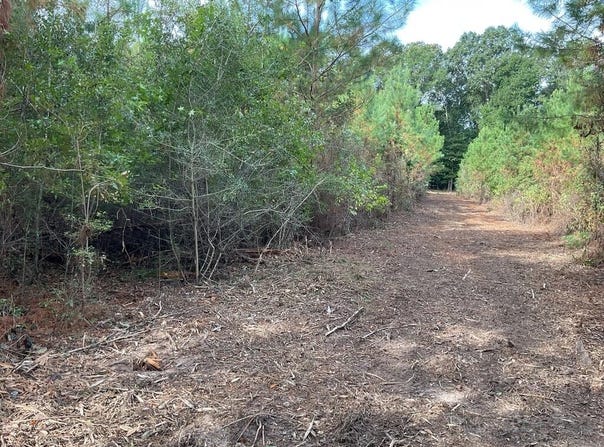 500 Pond Creek Rd, LUVERNE, AL 36049