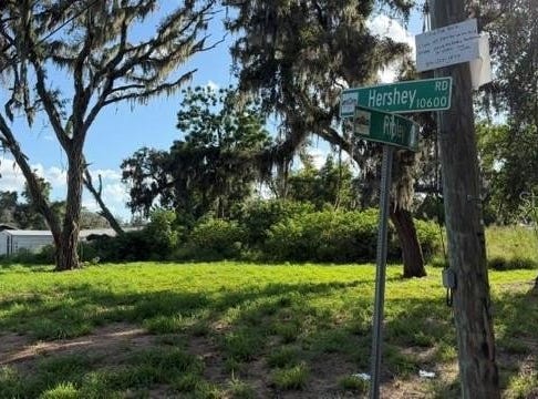 9323 RIPLEY Road, THONOTOSASSA, FL 33592