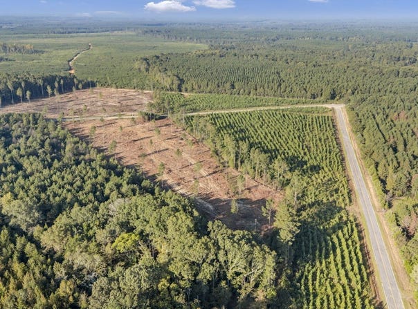 0 Fruit Hill Road, Saluda, SC 29138-0000