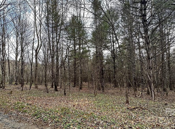 Creston, NC 28615