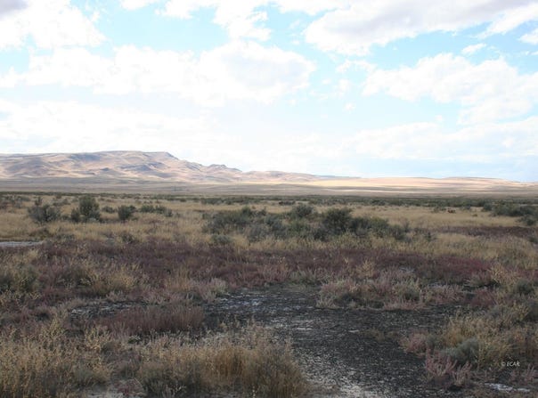 40 Acres N., Crescent Valley, NV 89821