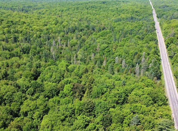 on W Shingleton Road, Shingleton, MI 49884