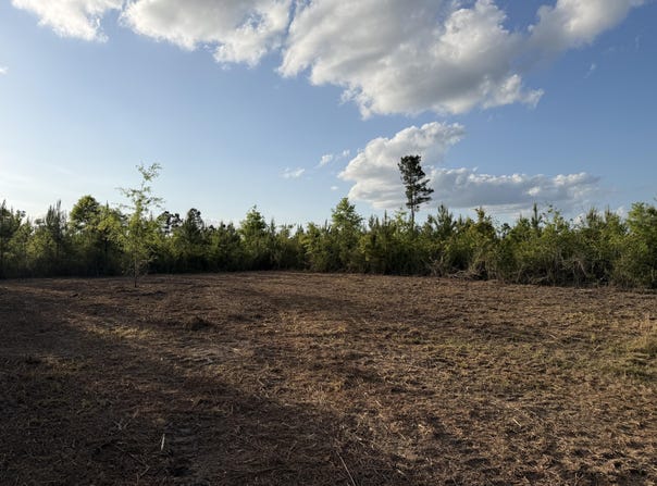 6.2 Acres Mt Bethel Rd, Sandy Hook, MS 39478