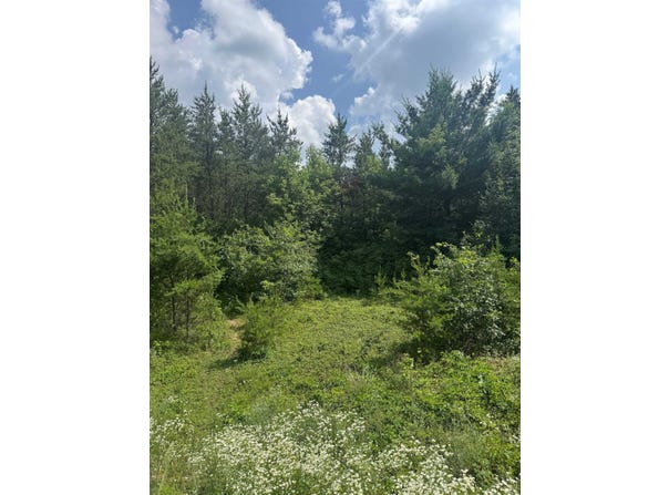 Lot 31 RED TAIL HAWK DRIVE, Stevens Point, WI 54482