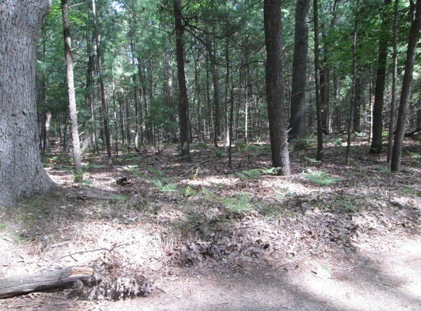 Victoria Boulevard, Pentwater, MI 49449