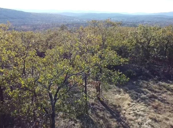 TBD Caughern Ln, Heavener, OK 74937