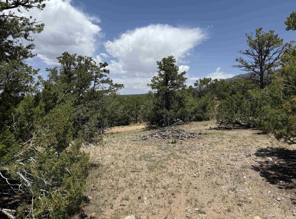 Bret Hale Road, Valdez, NM 87580