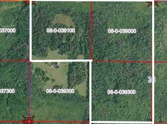 430th Lane, Fleming Twp, MN 56469