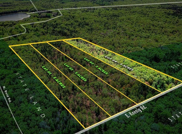 Lot 4 E Koenig Road, Free Soil, MI 49411