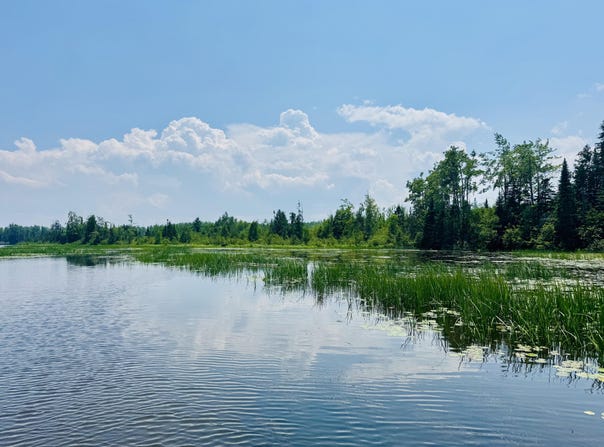Macey Lane, Alpena, MI 49707