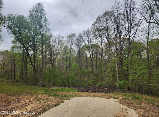 11593 High Road, Hernando, MS 38632