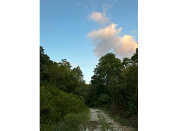 000 Contrary Road, Louisa, KY 41230