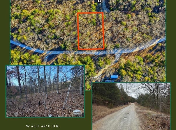 Wallace Drive, Rockaway Beach, MO 65740