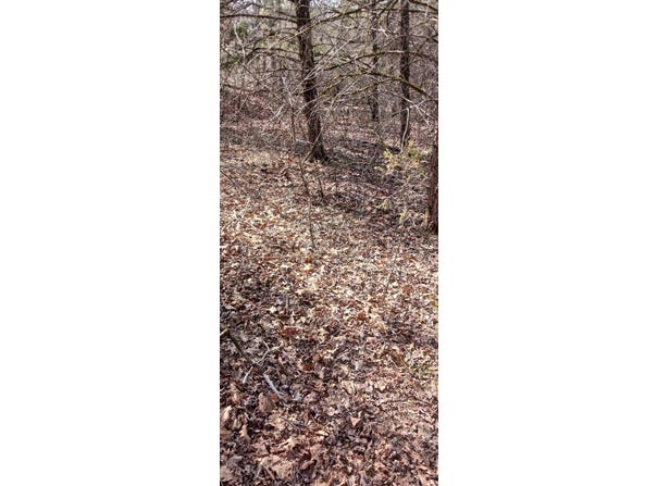 Crestview Drive lot: 26, Theodosia, MO 65761