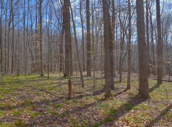 0 TBD Duffey Lane, Stuart, VA 24171
