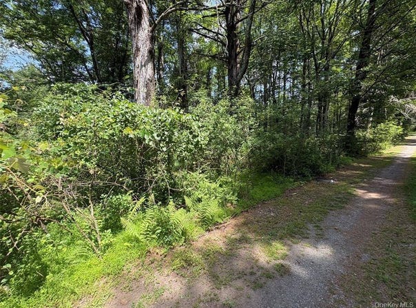 Belair Rd, Glen Spey, NY 12737