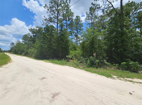 NE 40TH Lane, WILLISTON, FL 32696