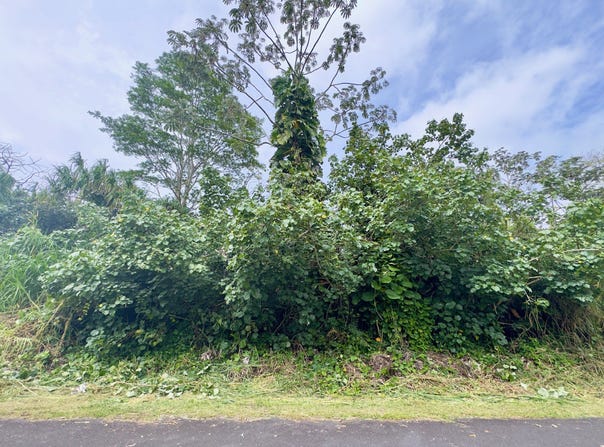 NENUE ST, Pahoa, HI 96778