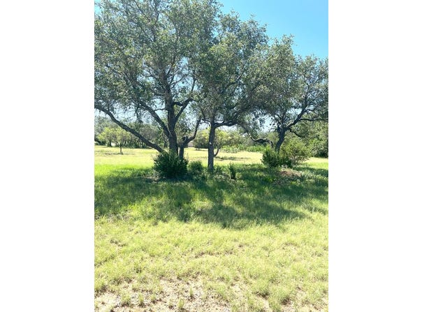 225 Oriole Ave., Camp Wood, TX 78833