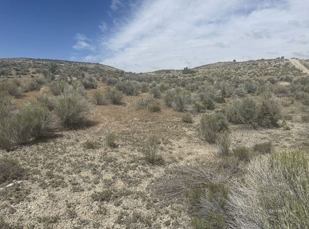 Pickering, Spring Creek, NV 89815