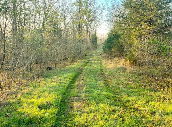 TBD Diamond School Road, Grubville, MO 63041