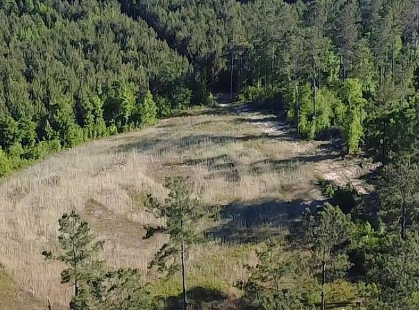 1139 W CR 19, ARITON, AL 36311
