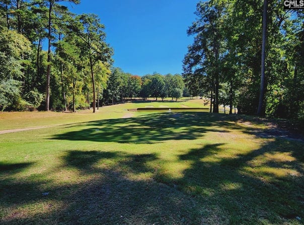 557 Wateroak Trail, Chapin, SC 29036