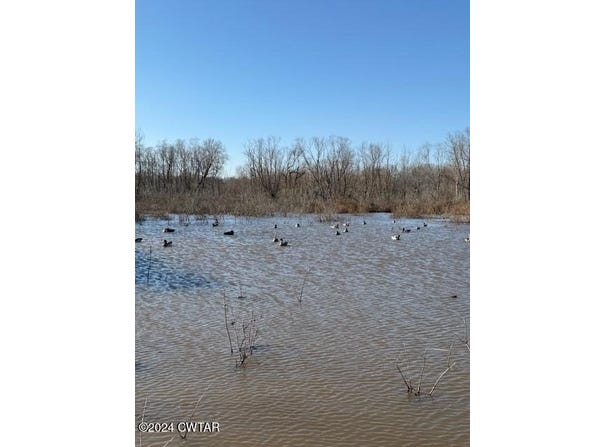 00 Fry Road, Lavinia, TN 38348