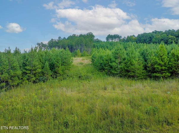 Lot #41 Three Point Rd, Madisonville, TN 37354