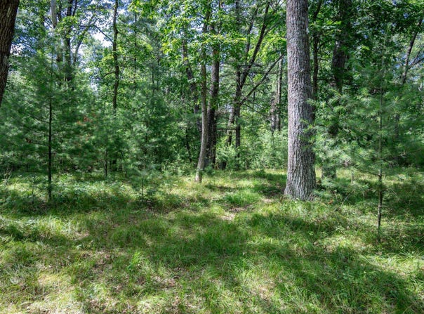 1662 20th Avenue, Arkdale, WI 54613