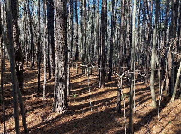 00 NC Highway 134 N, Star, NC 27356