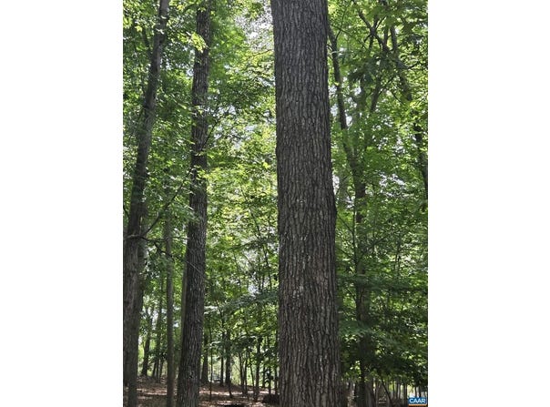 85 LAGUNA RD, PALMYRA, VA 22963