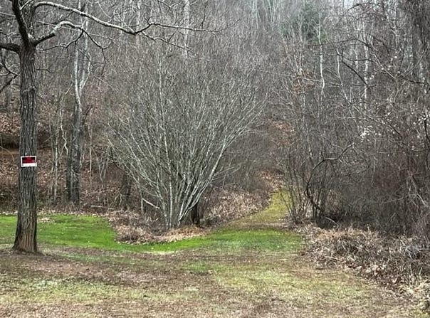 15 Silver Fir Road, Weaverville, NC 28787