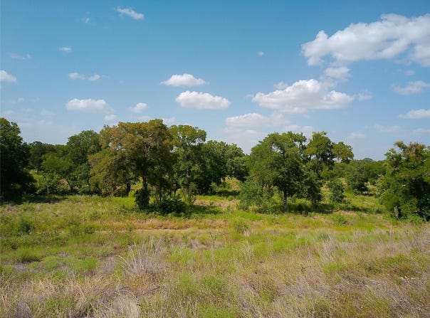 101 Scotty Ln, Liberty Hill, TX 78642