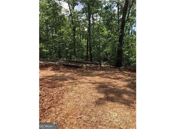 1601 Lost Mountain, Powder Springs, GA 30127